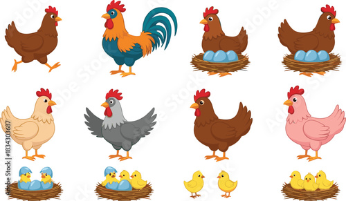 Chicken and Rooster Cartoon Collection Vector Illustration Showing Hens Eggs Chicks Nests and Poultry Farming Farm Animals Concept
