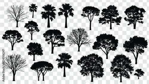 Bold Black Tree Silhouette with Spread Branches and Organic Shape