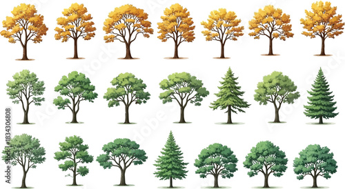 Beautiful Lone Tree Isolated in High-Resolution for Landscape Design