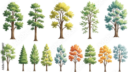 Isolated Green Tree on White Background with Clean Natural Details