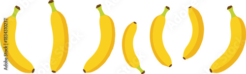 Yellow Banana Fruit Collection Vector Illustration Showing Single Whole Bananas in Different Shapes Isolated on White Background Healthy Food Concept