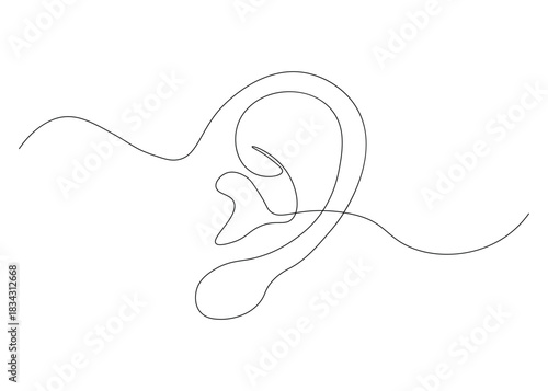Minimalist line art drawing of human ear on white background presenting hearing concept for auditory system representation in modern artistic style and anatomical study