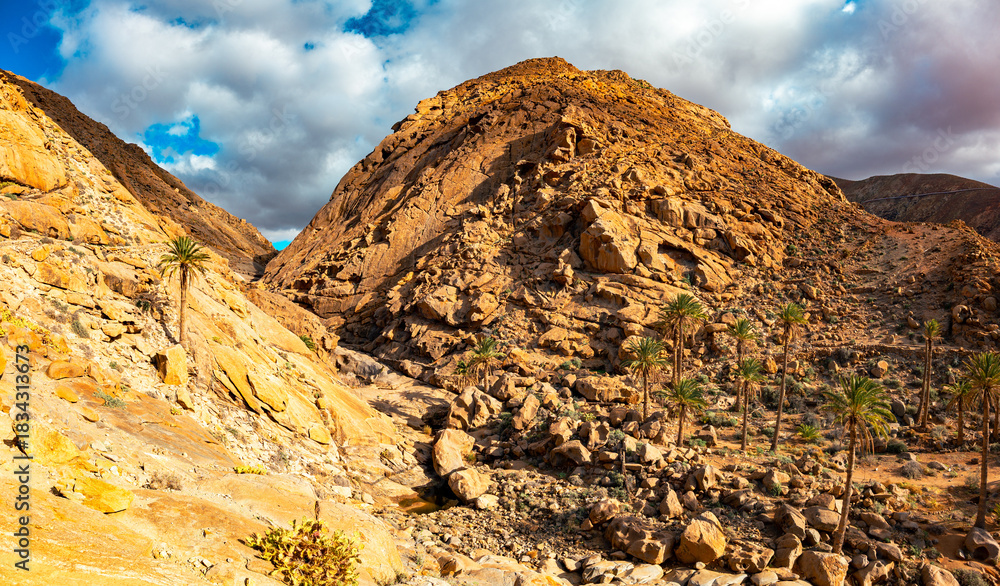 Naklejka premium Barranco de las Peñitas, Betancuria Rural Park in Fuerteventura, Canary Islands