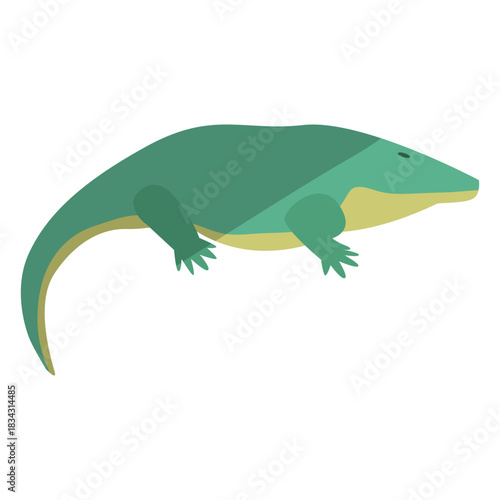 Primitive amphibian flat