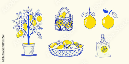 Lemon still life with tree baskets and juice in blue and yellow