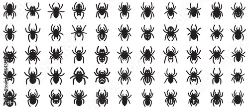 Vector set of black spider icons and intricate spider webs, ideal for Halloween, nature-themed designs, or spooky digital illustrations, featuring diverse arachnid poses.