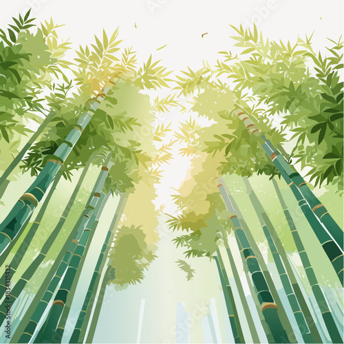 Serene Bamboo Forest Canopy Illuminated by Soft Golden Sunlight Creating a Peaceful and Natural Ambiance with Tall Green Stalks and Lush Foliage