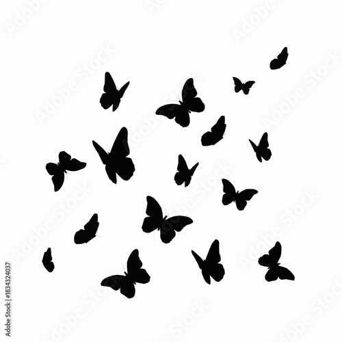 butterflies isolated on white