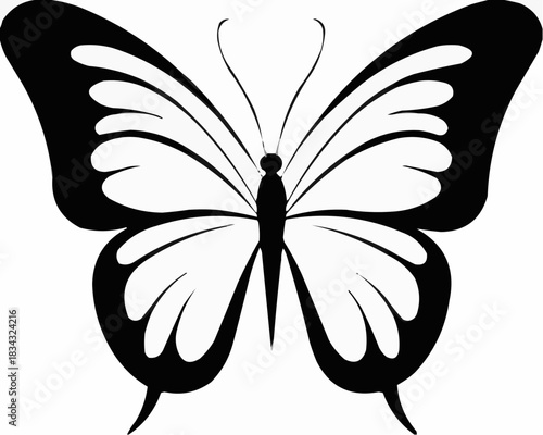 black and white butterfly