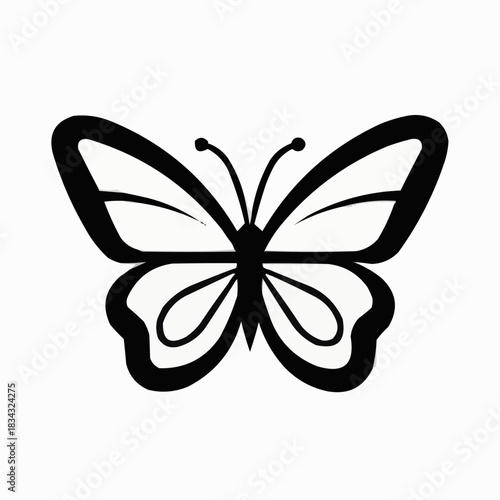 butterfly vector illustration