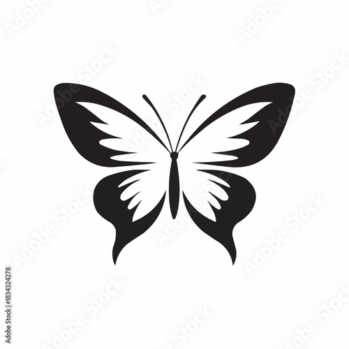 butterfly vector illustration