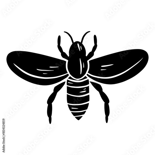 Cute black honey bee