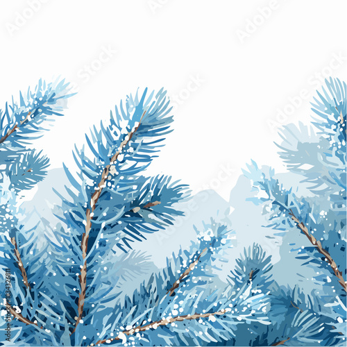 Frosty Blue Spruce Branches with Snowflakes on White Background Winter Holiday Season Decoration