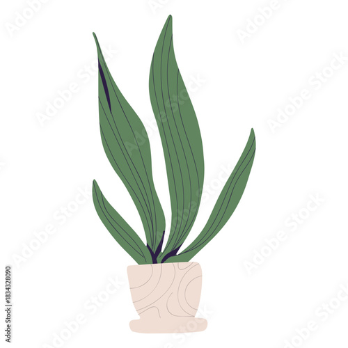 Plant in white pot illustration
