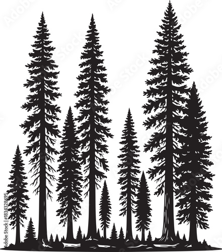  Redwood trees silhouette vector