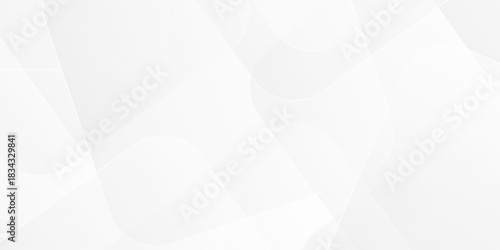 	
Abstract vector minimal tech gradient white, gray creative triangle geometric technology space. rectangle randomly arranged white line background. paper web overlap presentation design.