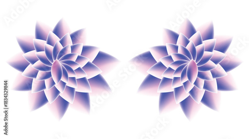 Two symmetrical purple and pink gradient floral designs