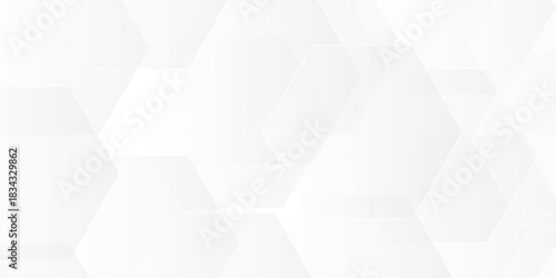 Abstract vector minimal tech gradient white, gray creative triangle geometric technology space. rectangle randomly arranged white line background. paper web overlap presentation design.	