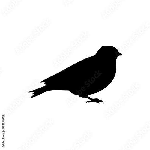 Swift bird silhouette vector flat illustration design.