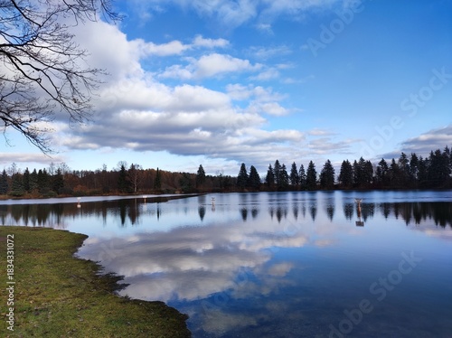 Schilderij op canvas lake and trees
