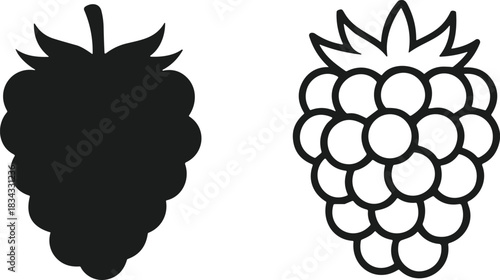 Two stylized raspberry icons: solid silhouette and outline drawing