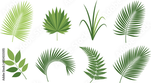 Vibrant Green Tropical Leaves and Ferns Vector Collection Including Palm Fronds for Exotic Nature, Jungle, and Botanical Themed Designs