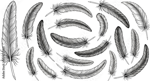 Hand-Drawn Engraving Style Vector Collection of Realistic Bird Feathers, Detailed with Fine Lines for Vintage, Nature, and Bohemian Designs
