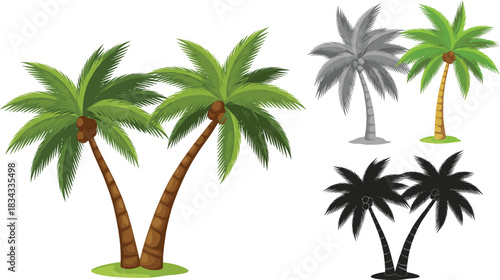 Tropical Coconut Palm Tree Vector Set in Multiple Styles Including Full Color, Grayscale, and Black Silhouette for Vacation and Nature Designs