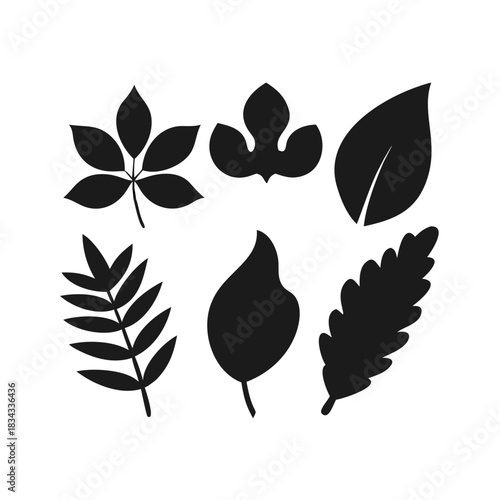 Leaf silhouettes, vector collection, diverse leaves shapes, nature elements. Ideal for eco friendly brand aesthetics, botanical illustrations, educational materials, artistic designs, decorations. See