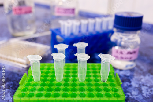 Sets of small test tubes in plastic racks next to reagents and flasks.