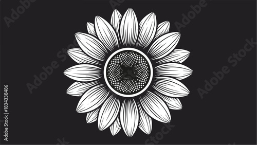 Detailed black and white illustration of a sunflower in bloom.