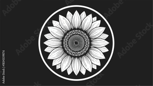 Elegant sunflower illustration within a white circle on a black background.