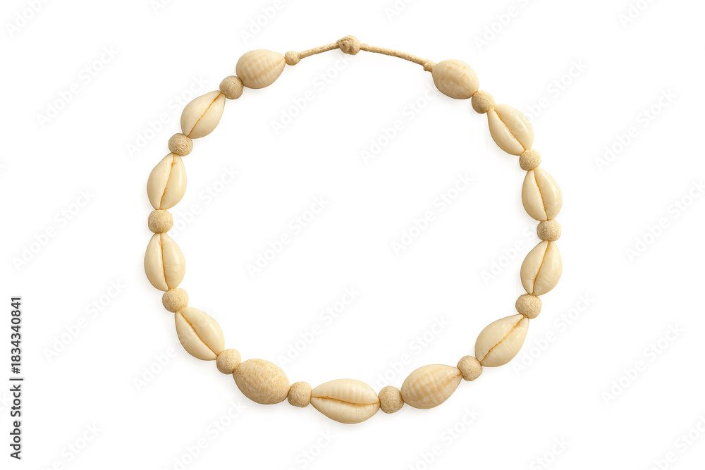 Fototapeta premium Cowrie Shell Necklace Isolated on Transparent Background, Beach Jewelry