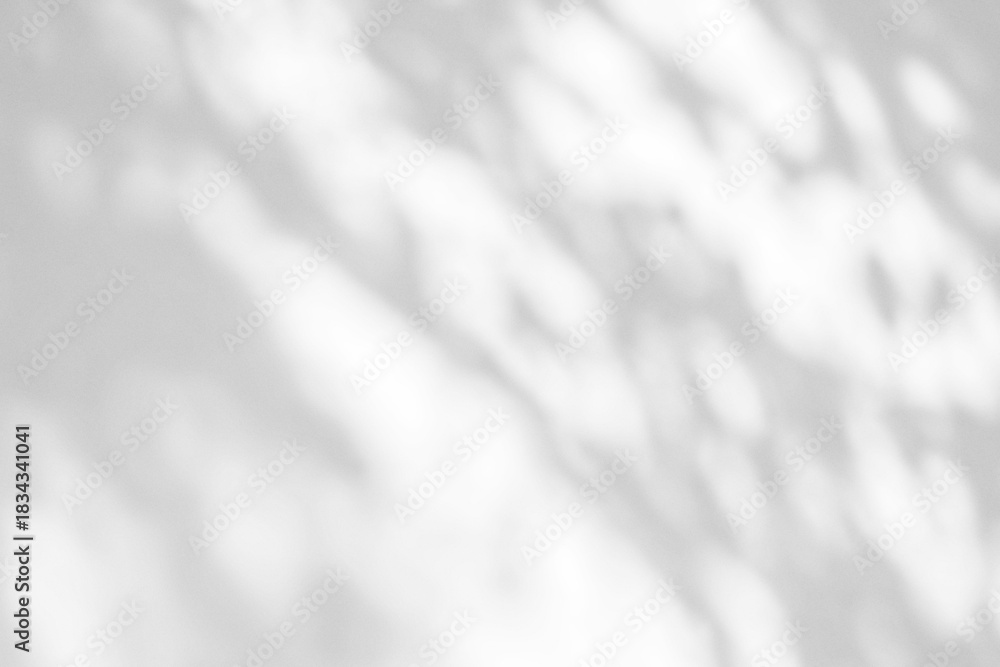 Naklejka premium Shadow overlay effect. Abstract sunlight background with organic botanical shadows from plants, leaves, and branches.
