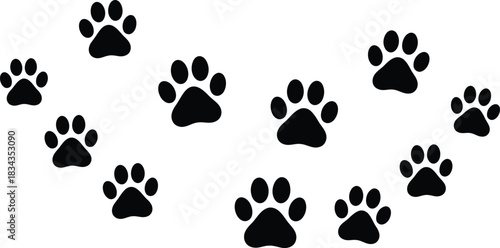 Vector illustration of scattered animal paw prints. Black silhouette icons of dog and cat tracks creating a path on a clean white background. 31.eps design