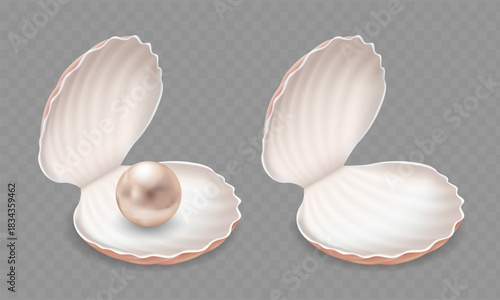 Seashell with a pearl and an empty shell. Template is isolated on a transparent background. Vector illustration.