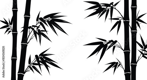 bamboo, silhouette, plant, leaves, stalks, nature, black, vector, illustration, decorative, design, minimal, isolated, cad, drawing