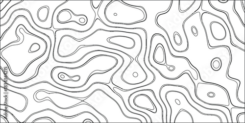 Black and white abstract topographic contour lines forming an organic and flowing pattern with smooth curves and irregular shapes on a clean white background for design and backgrounds