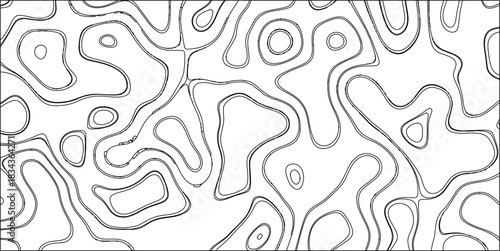Detailed black and white abstract topographic contour lines creating intricate organic shapes and flowing patterns on a bright white background for versatile design applications