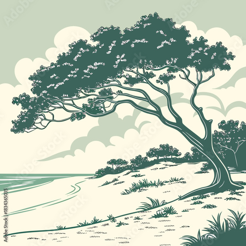 Stylized illustration of a windswept pine tree on a sandy dune overlooking a calm ocean under a cloudy sky