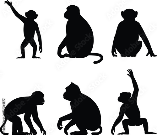 Black monkey silhouette icon set, various primate poses, wildlife vector illustration collection isolated on white background for nature design elements