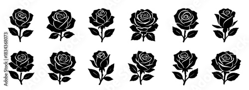 Silhouettes of blooming roses with layered petals. Each flower shows unique curvature and leaf placement