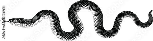 PrintDetailed coiled snake illustration vector, showing reptile scales, curved body, and forked tongue, wildlife animal graphic, isolated.