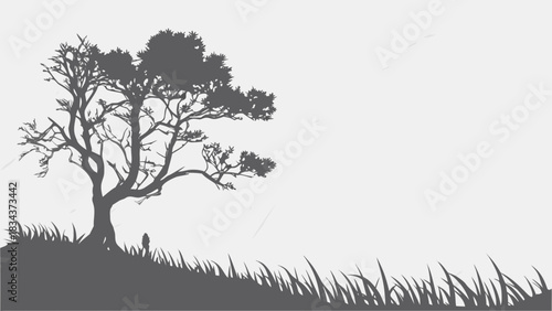 silhouette of a tree