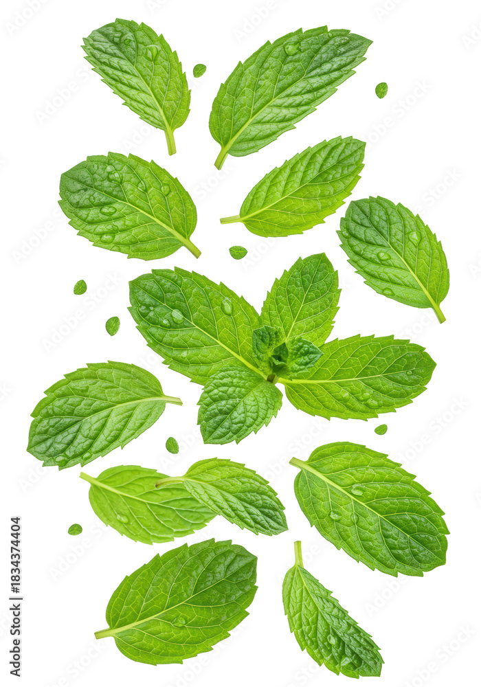 Naklejka premium Vibrant green mint leaves, intricate texture, water droplets, falling against a white background, macro lens studio shot, concept of natural freshness