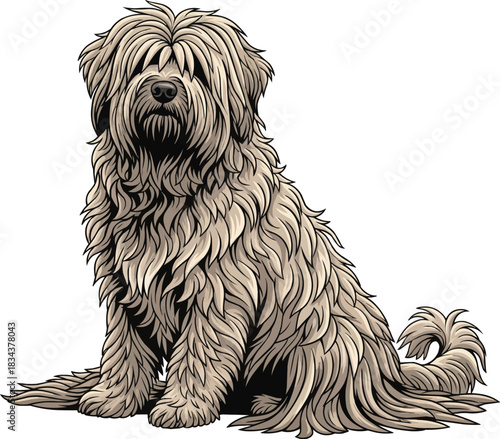 Hungarian Puli dog standing cute side profile furry illustration