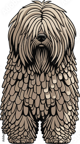 Hungarian Puli dog standing facing front cute vector illustration 