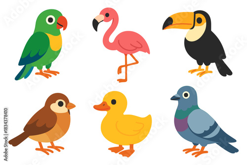 Colorful flat bird collection featuring parrot, flamingo, toucan, sparrow, duck, pigeon