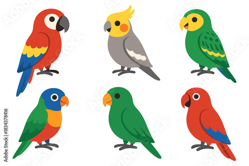 Colorful parrot collection featuring diverse tropical birds in a charming flat cartoon style