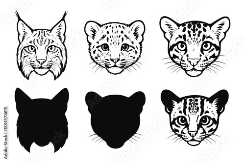 Wild cat faces collection: lynx, cheetah, and cougar silhouette art